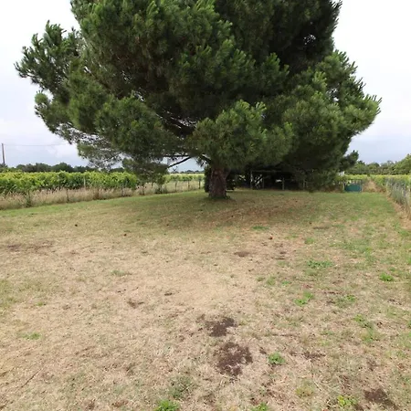 Maison 3 Pieces Oleron 6 Couchages Georges D'oleron Sgo000-434 Vila Saint-Georges-d'Oleron